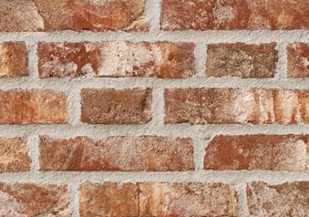 RT 455 Terracotta DKNF